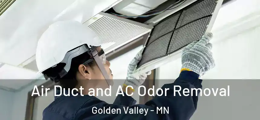 Air Duct and AC Odor Removal Golden Valley - MN