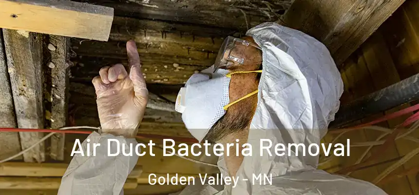 Air Duct Bacteria Removal Golden Valley - MN