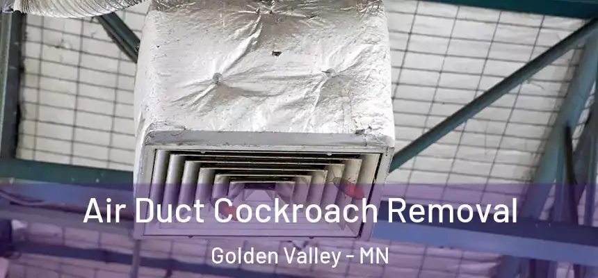 Air Duct Cockroach Removal Golden Valley - MN