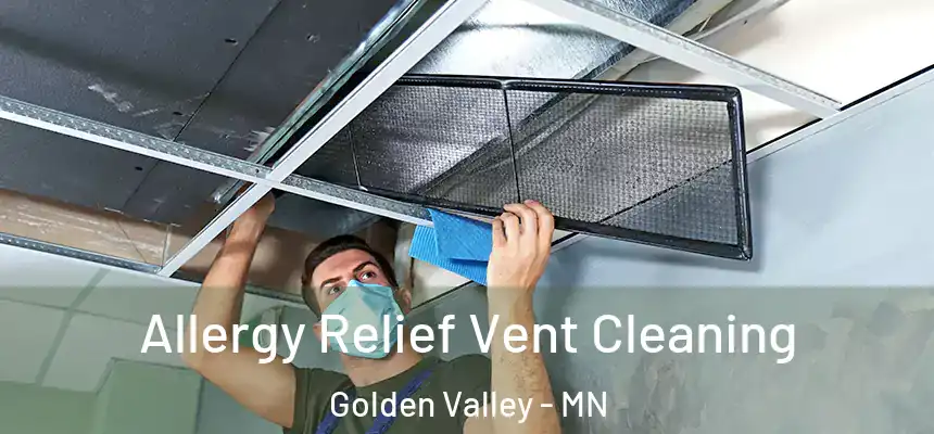  Allergy Relief Vent Cleaning Golden Valley - MN