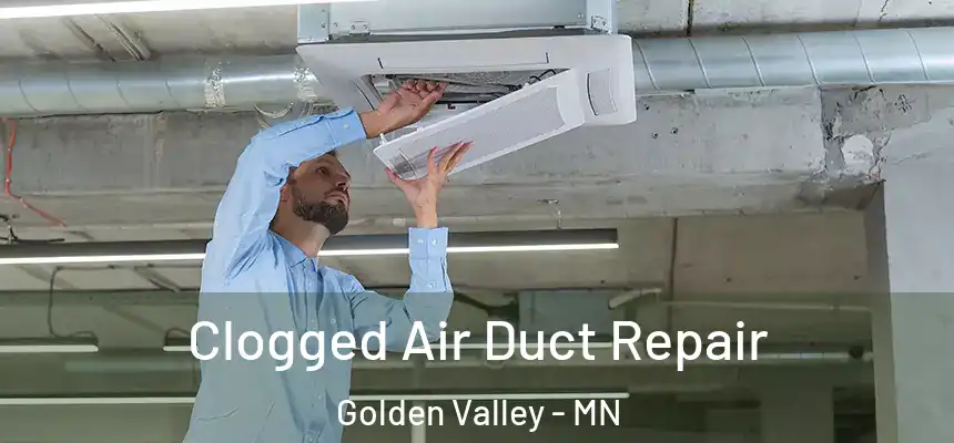  Clogged Air Duct Repair Golden Valley - MN