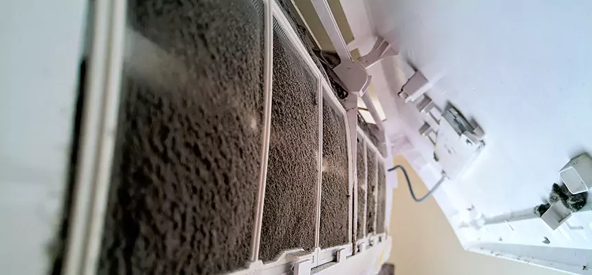 Preventive Air Duct Bacteria Removal in Golden Valley