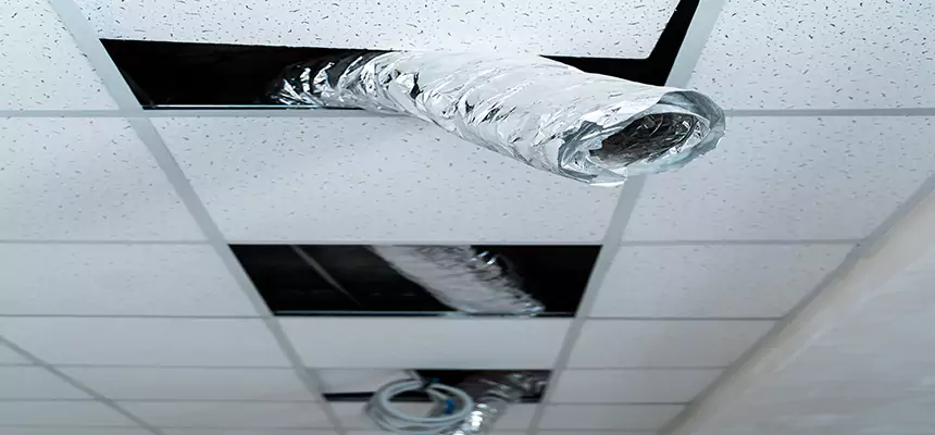 Our Air Duct Pet Hair Removal Services in Golden Valley, MN