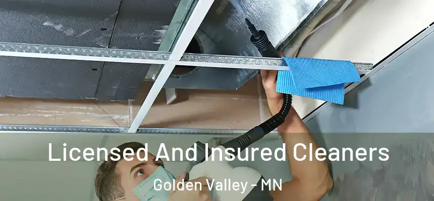 Licensed And Insured Cleaners Golden Valley - MN