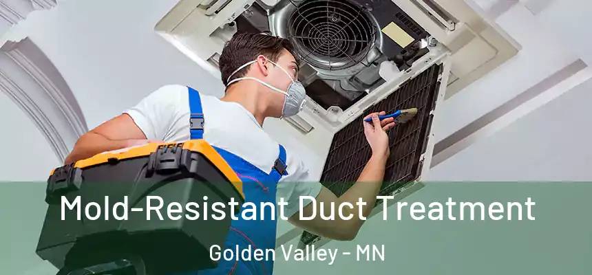  Mold-Resistant Duct Treatment Golden Valley - MN