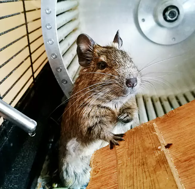 Why Homeowners & Businesses Trust Us Golden Valley, MN?