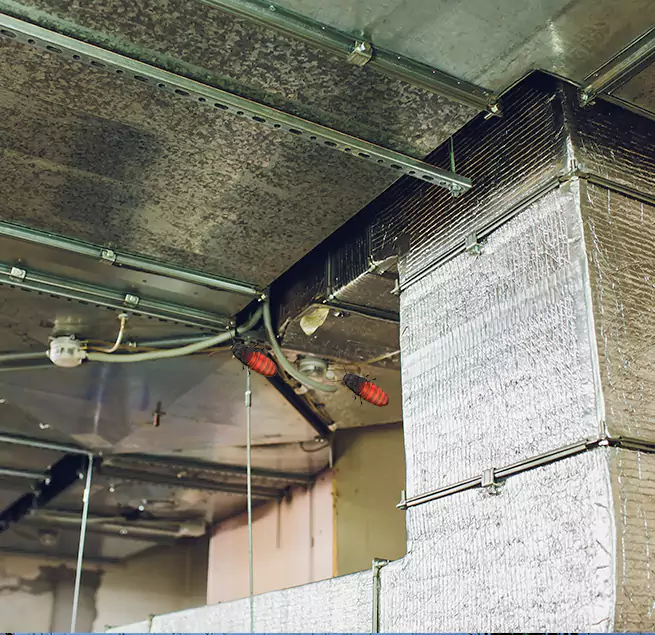 Why Homeowners & Businesses Trust Us Golden Valley, MN?